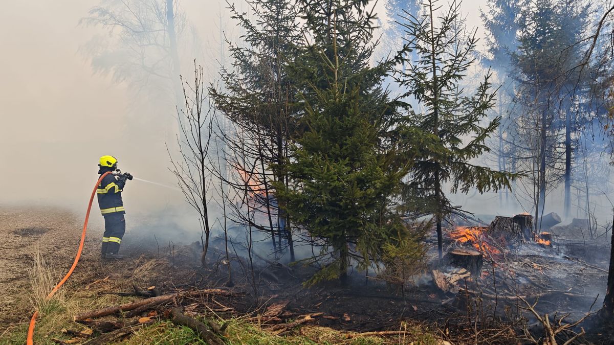 Lesní požáry zasáhly v pondělí hned tři různá místa na Jihlavsku
